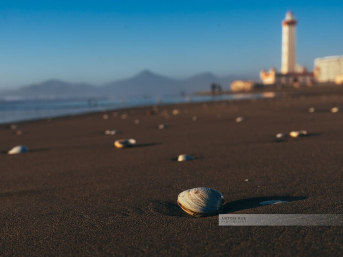La Serena in Chile mit seinem einzigartigen Leuchtturm am Strand, auf dem viele Muscheln zu finden sind
