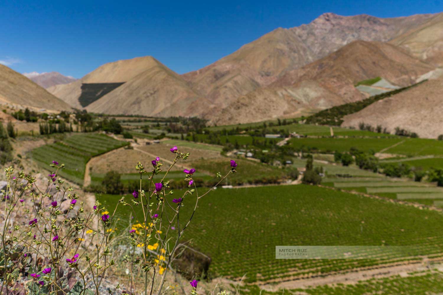 Das Elquital (Valle de Elqui) mit Blick auf die Weinberge