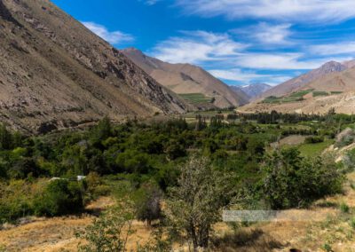 Valle del Elqui (das Elquital) umgeben von karger Natur, erstrahlt es im satten Grün durch einen Fluss
