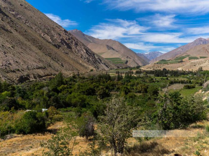 Valle del Elqui (das Elquital) umgeben von karger Natur, erstrahlt es im satten Grün durch einen Fluss