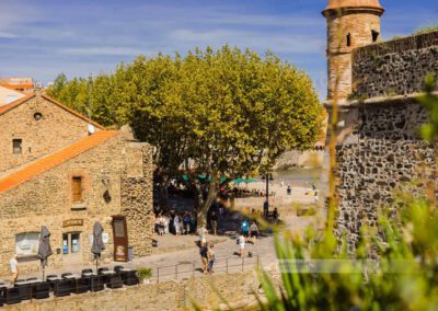 Frankreich-Collioure-Südfrankreich-Côte Vermeille-Mittelmeer-10