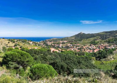 Frankreich-Collioure-Südfrankreich-Côte Vermeille-Mittelmeer-11