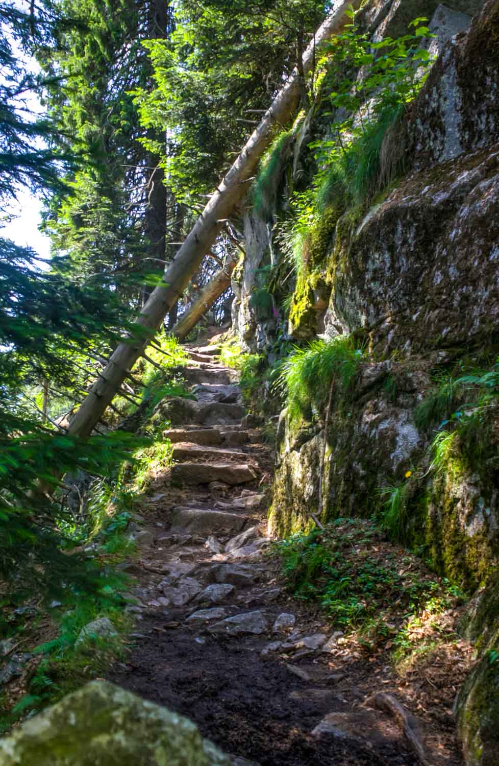 Auf dem Felsenpfad "Sentier des Roches" Schmaler Pfad entlang des Felsenpfads "Sentier des Roches"