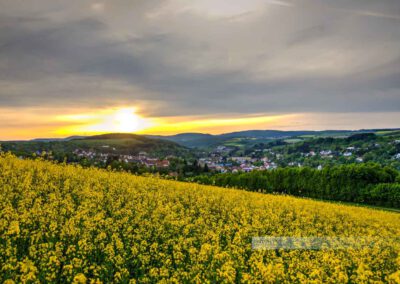 Blick auf die kleinste Kreisstadt Deutschlands, Kusel. Ein blühendes Rapsfeld ist im Vordergrund