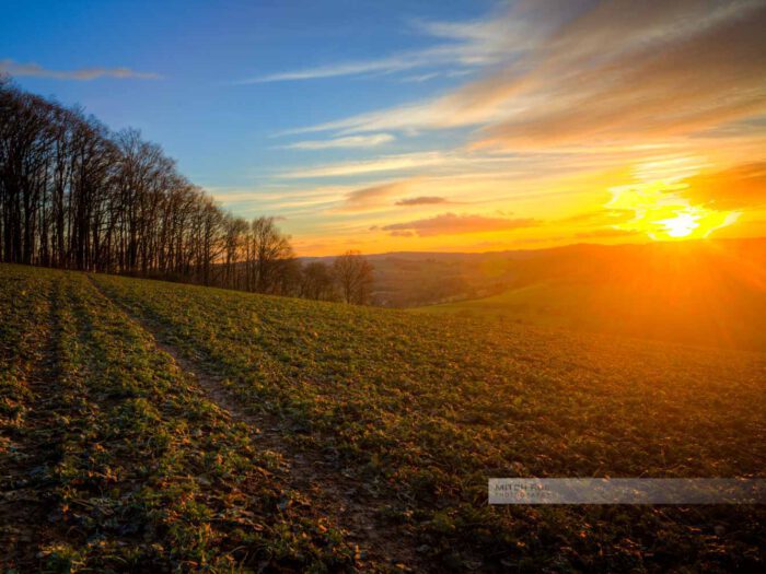 Warme Sonnenstrahlen an einem Feld bei Ohmbach (Westpfalz, Kreis Kusel, Pfälzer Bergland)