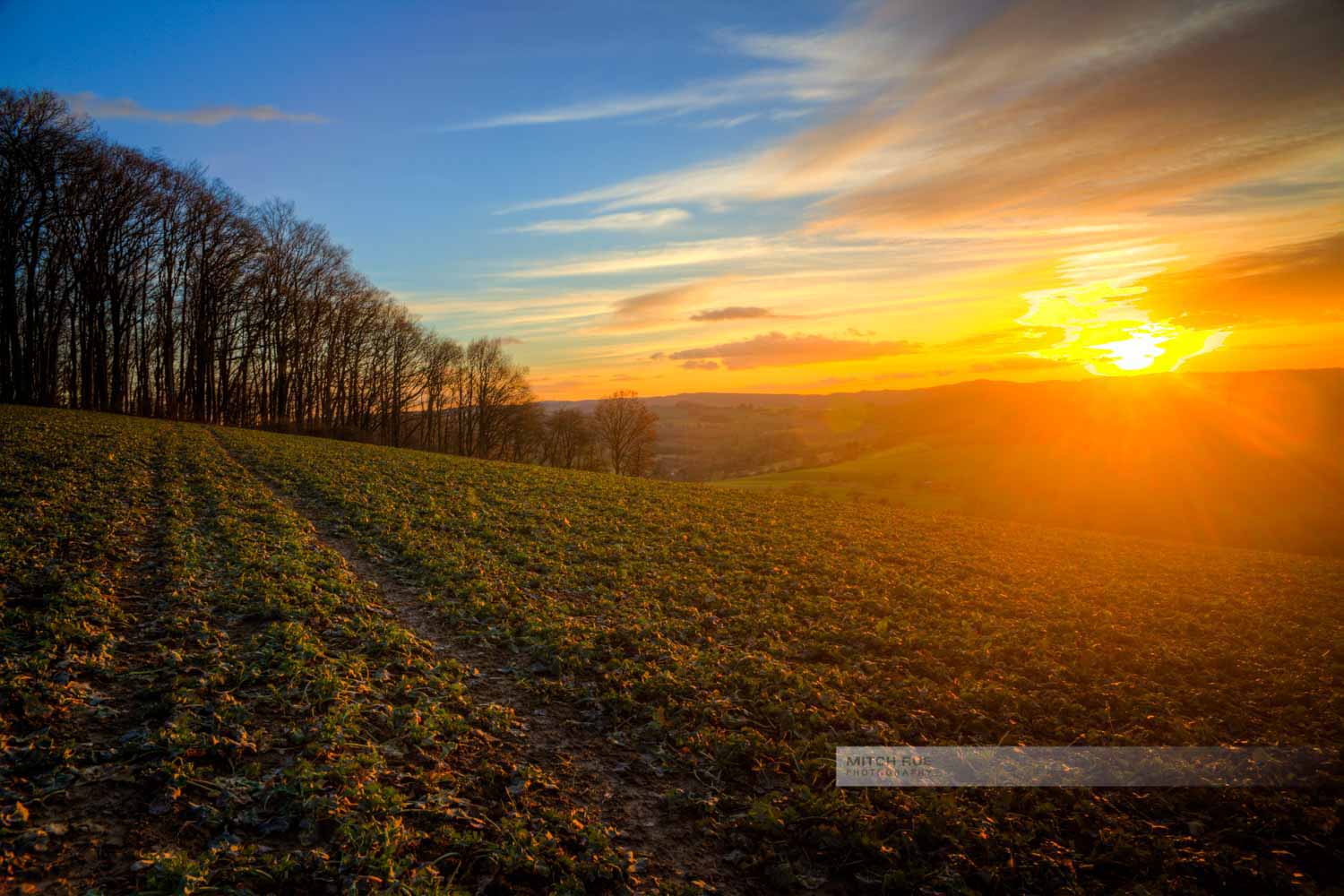 Warme Sonnenstrahlen an einem Feld bei Ohmbach (Westpfalz, Kreis Kusel, Pfälzer Bergland)