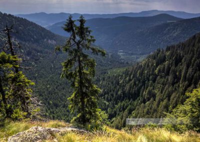 Blick in das Steil abfallende Tal entlang des Sentier des Roches