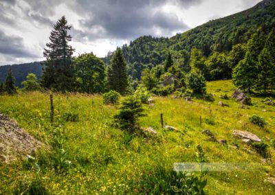 Sentier des Roches, Felsenpfad, Auberge Trois Fours, Landschaft, Vogesen