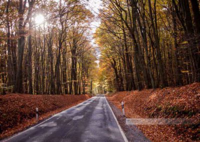 Eine Landstraße führt durch den Herbstwald in der Nähe von Wahnwegen und Ohmbach