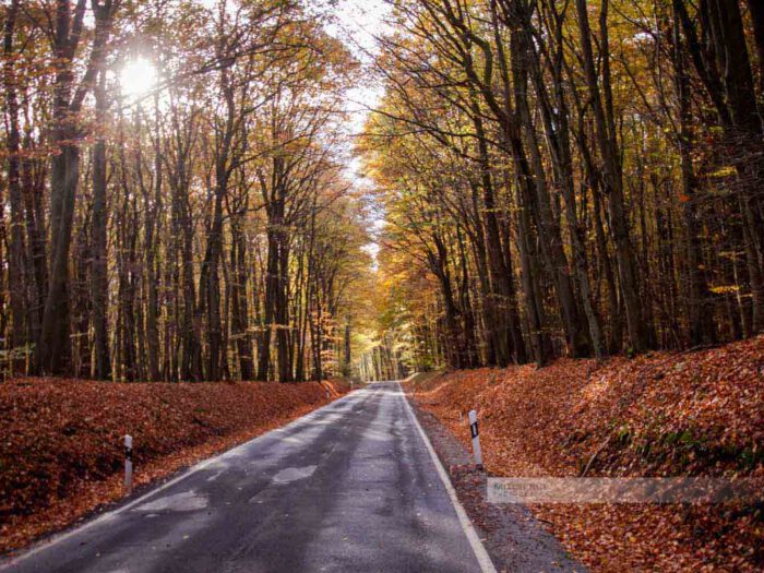 Eine Landstraße führt durch den Herbstwald in der Nähe von Wahnwegen und Ohmbach