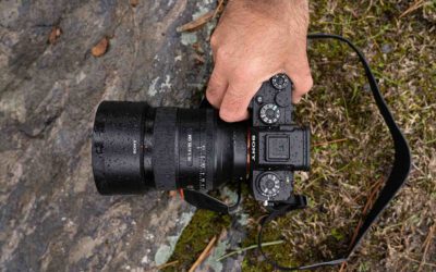 Die besten Festbrennweiten für Sony E-Mount