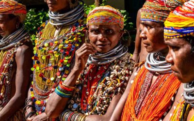 Sigma 50mm f/1.4 DG DN Art — Reise, Reportage & Konzert